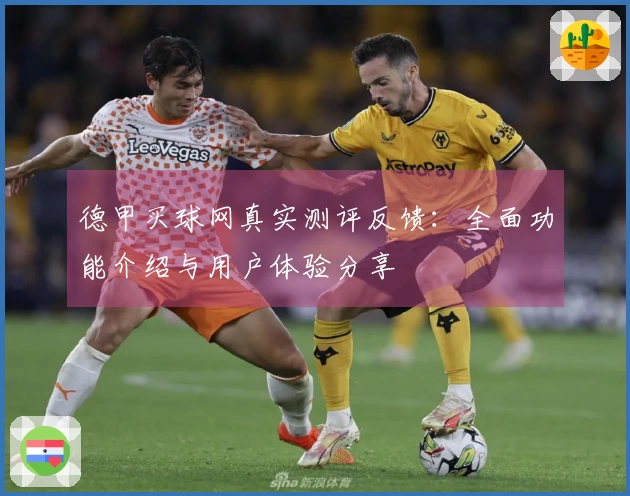 德甲买球网真实测评反馈：全面功能介绍与用户体验分享