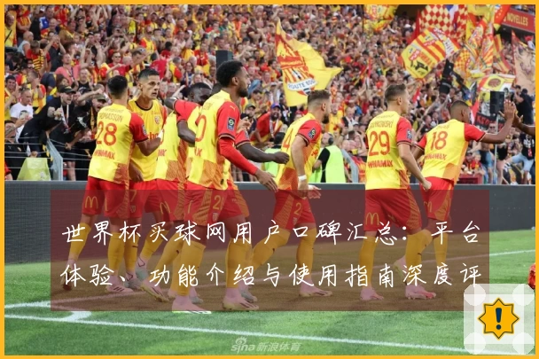 世界杯买球网用户口碑汇总：平台体验、功能介绍与使用指南深度评测