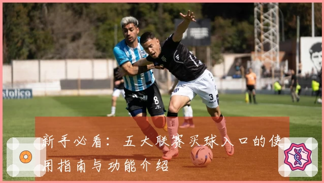 新手必看：五大联赛买球入口的使用指南与功能介绍