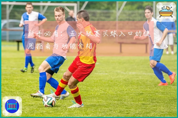 新手必看：五大联赛买球入口的使用指南与功能介绍