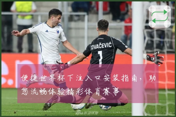 便捷世界杯下注入口安装指南，助您流畅体验精彩体育赛事